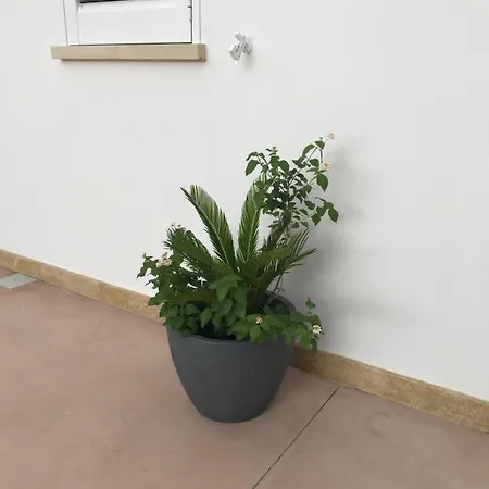 Apartamento Dimora Il Granaio *