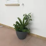 شقة Dimora Il Granaio *